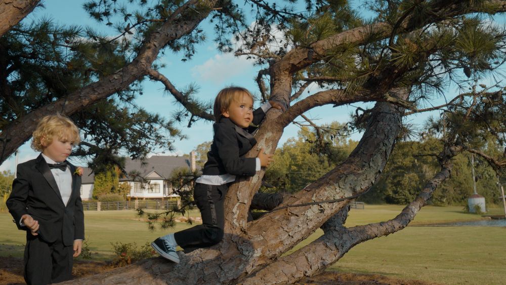 Two young ring bearers in tuxedos climbing a pine tree on the lawn at The Grove at Defoor Farms